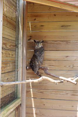 E O Wilson Biophilia Center