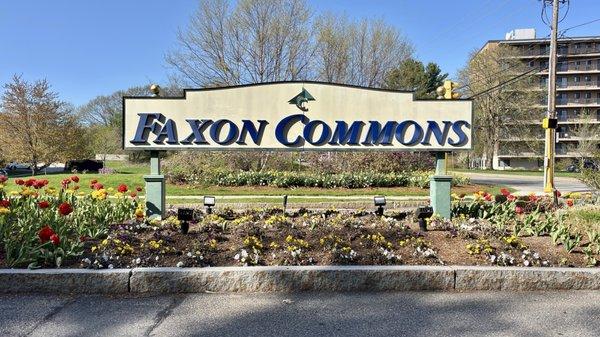 Faxon Commons
