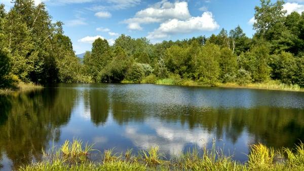 Mills Riverside Park