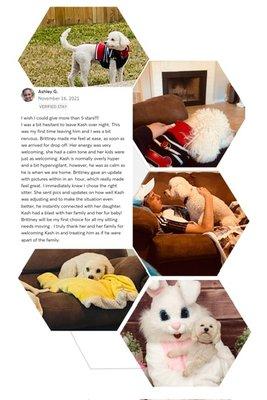 Kingwood Pet Sitting