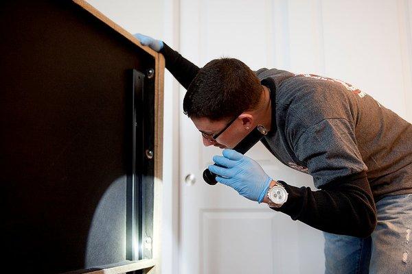 Any bed bugs in here?