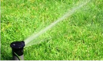 Green Carpet Lawn Care