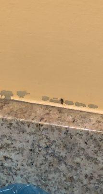 4th roach I've seen in this room