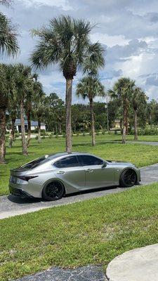 Unique Window Tinting