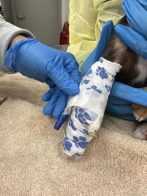 Booth's Corner Pet Supply