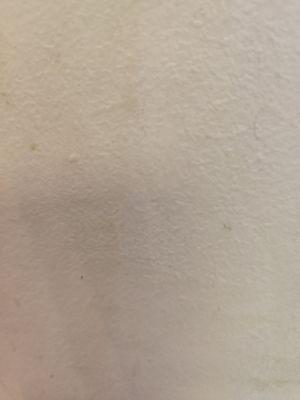 Marlene Z Dahne, DDS