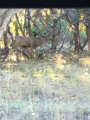 Munger Roofing and Construction