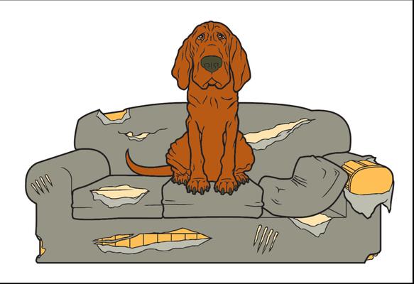 Headstrong Dog Training