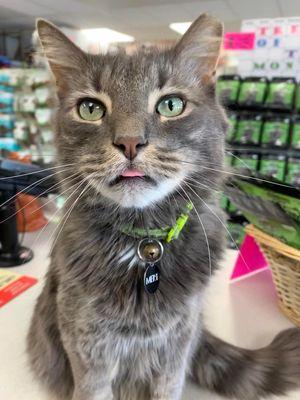 Nashville Pet Products LLC