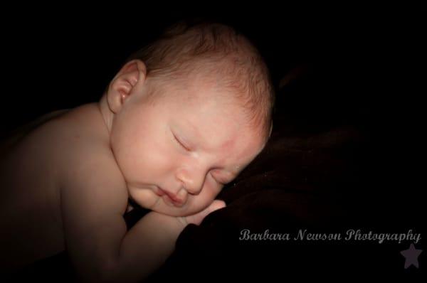 Barbara Newson Photography