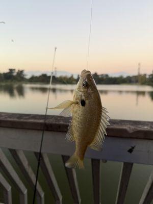 Whittier Narrows Recreation Area