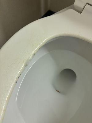 Silicone worn out toilet seat