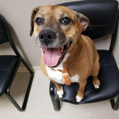 Uptown Veterinary Clinic