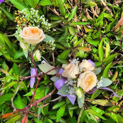 Lavender Rose Creations