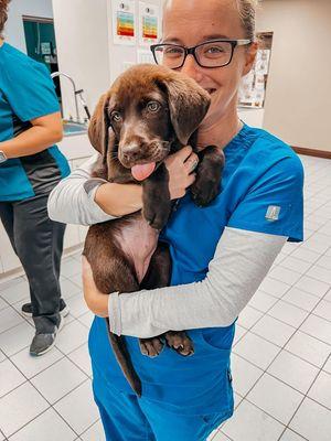 Animal Medical Clinic