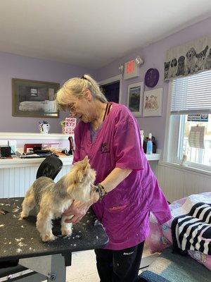 Heads To Tails Critter Grooming