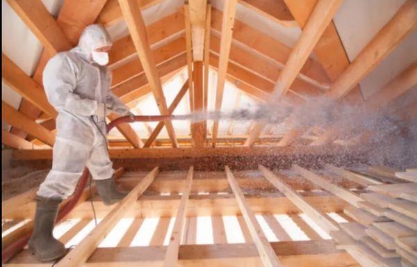 Nolan Wildlife Control