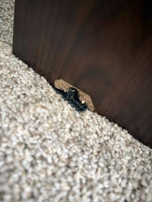 Move 4 Less - Movers Las Vegas