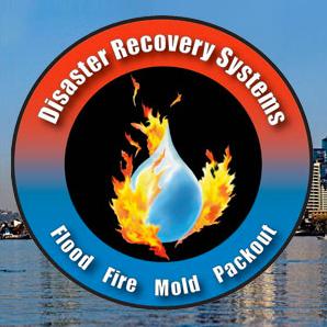 Disaster Recovery Systems