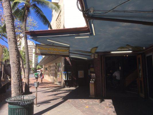 The Moose, April 2019