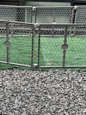Dog Feces Left for Hours in the Shared Courtyard, Sometimes days