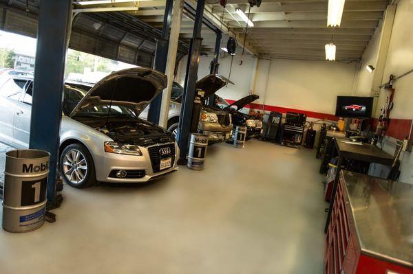 Audi & Volkswagen Auto Repair
