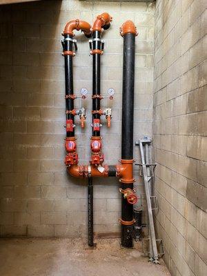 Standpipe and fire sprinkler riser cambo