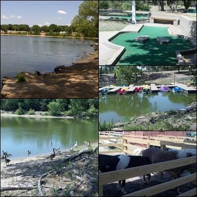 two lakes, geese, mini golf, paddle boats, ponie rides, train rides.