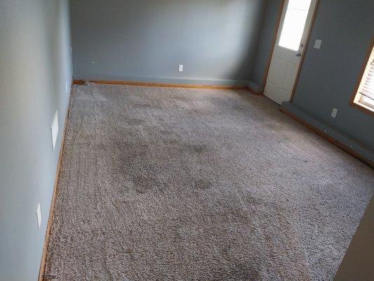 Lioness Elite Cleaning