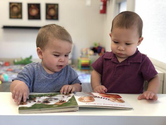 "Book reading" starts way before alphabet. Infant room