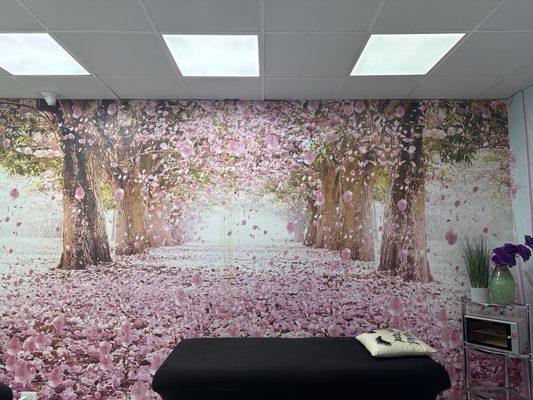 Threading, Waxing, facials and eyelashes lashes services