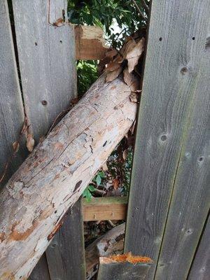 Monbelly's Residential and Commercial Management