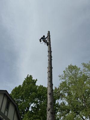 Grindstone Property Maintenance