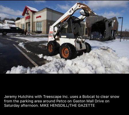 Treescape Tree Experts