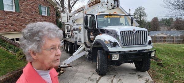 Lawn Enforcement Tree
