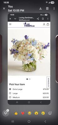 This is what i ordered