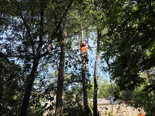 AJ's Landscaping Service