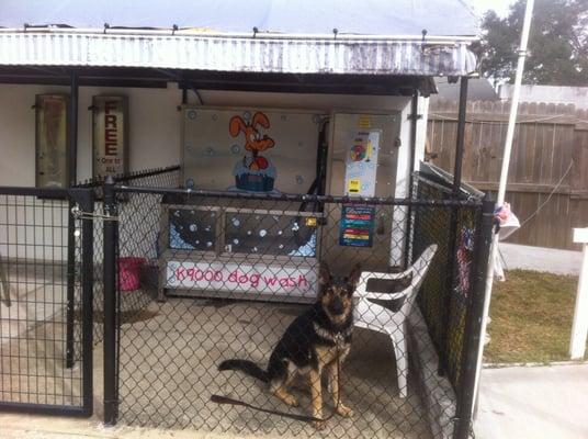This place even has a dog washing station.
