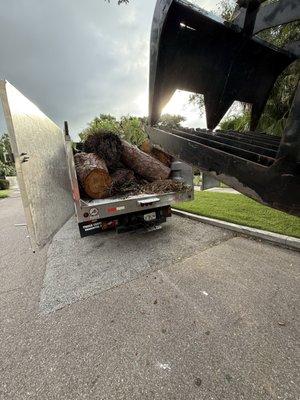 Lopez Brothers Lawn, Tree & Handymen Services