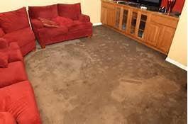 As Clean As It Gets Carpet Care