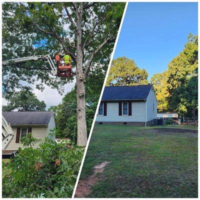 Jr's Tree & Landscaping