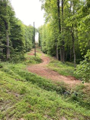 Have yet to conquer this seriously advanced downhill mntn bike trail.