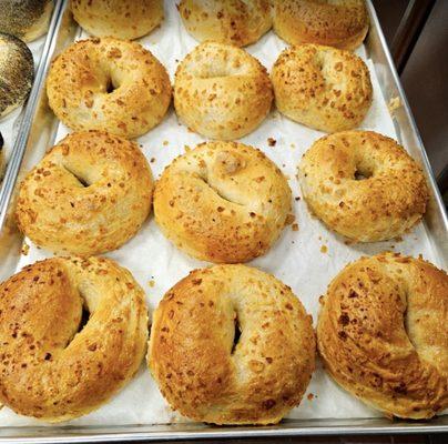 Big Belly Deli Bagel Express