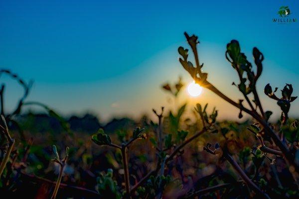 WM Simonton Photography