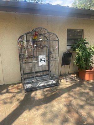 Camp Balcones Springs