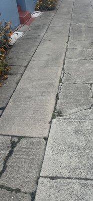 Neighborhood Restoration