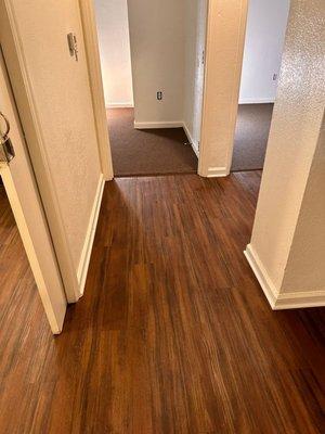 Mendoza Renewal Flooring