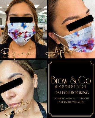 Brow & Co MicroArtistry