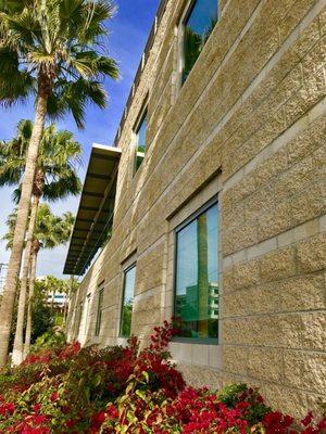 #YelpElite #Yelp #harvard