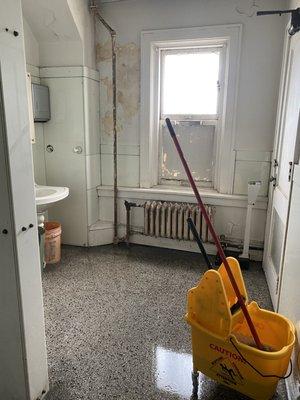 Wilson Cleaning Services